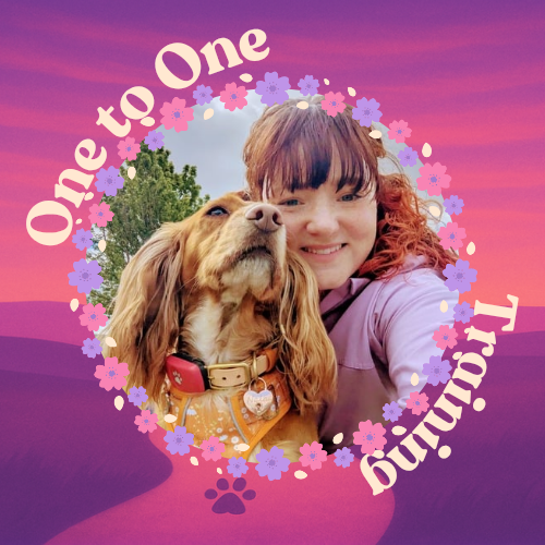 One-to-One Dog Training