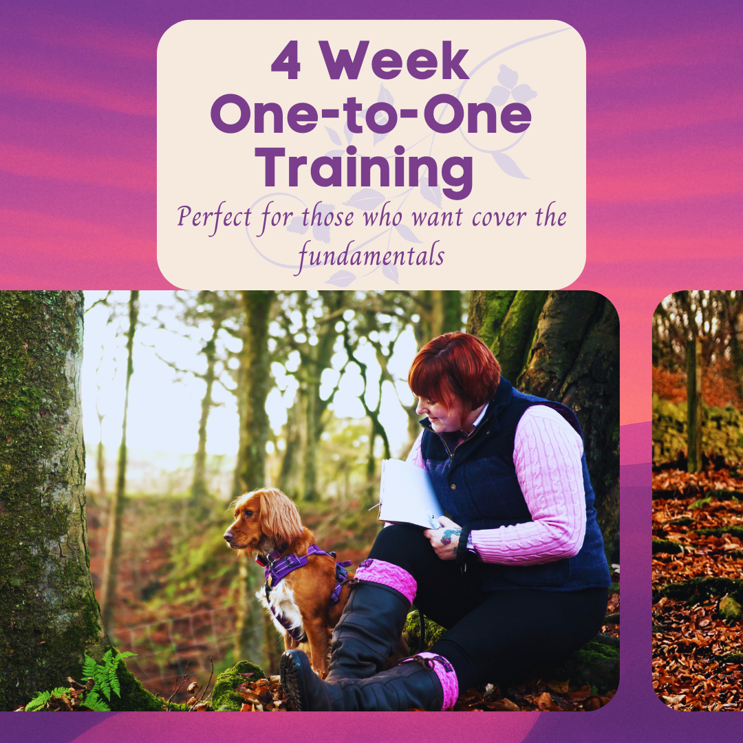 4 Week One-to-One Training