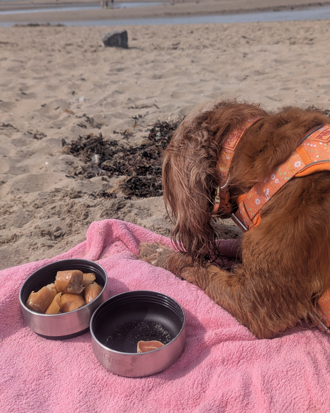 The Ultimate Travel Bottle