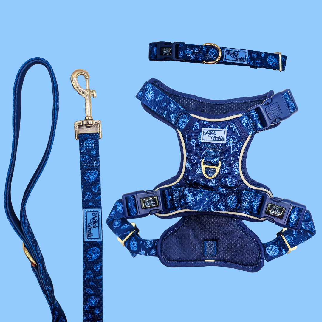 Midnight Rain Collection