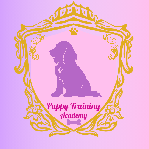 Puppy Class In Person