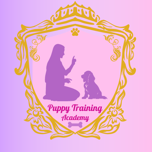 Puppy Training Acdamy