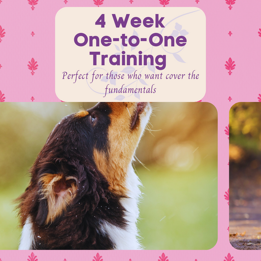 4  Week One-to-One Training