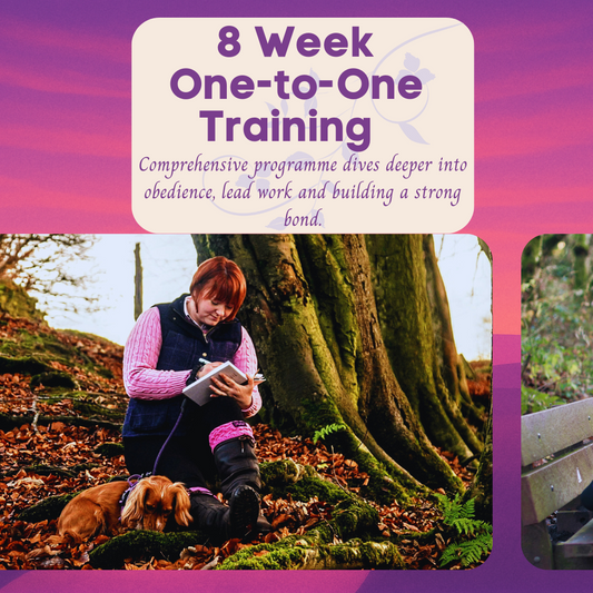 8 Week One-to-One Training