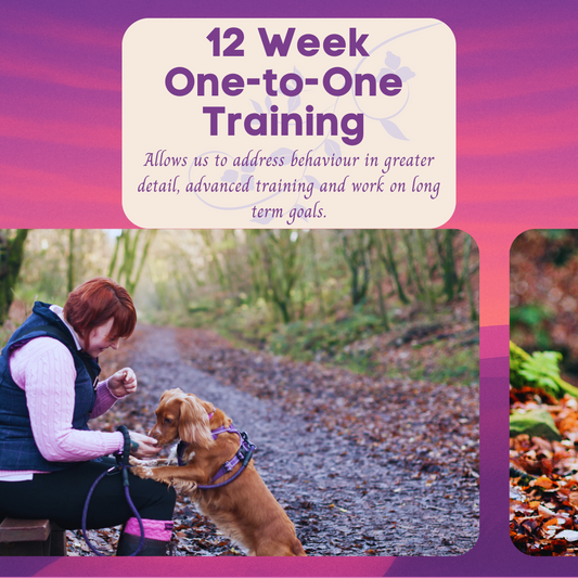 12 Week One-to-One Training