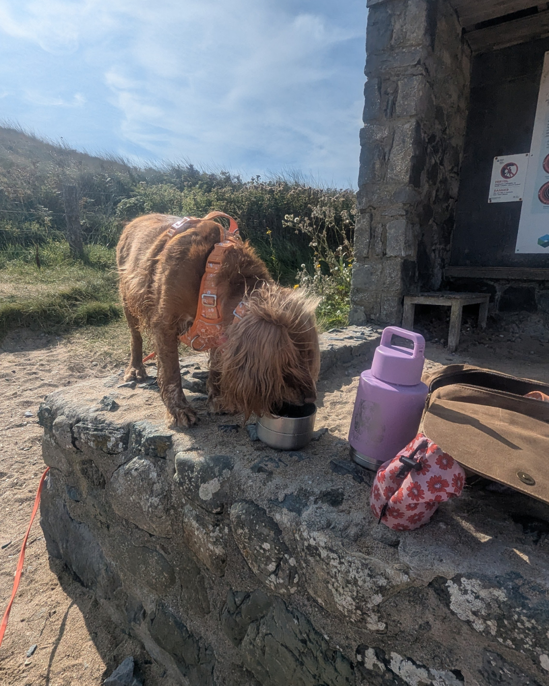 The Ultimate Travel Bottle