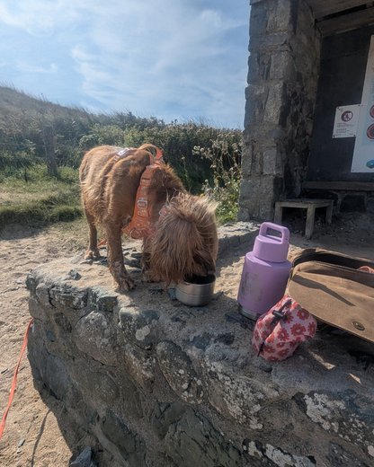 The Ultimate Travel Bottle