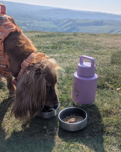 The Ultimate Travel Bottle
