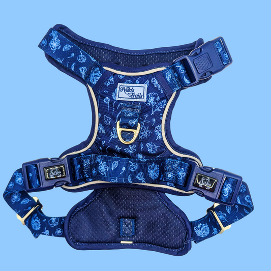 Midnight Rain Harness
