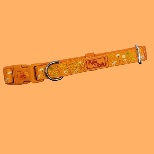Sunshine Daisy Collar