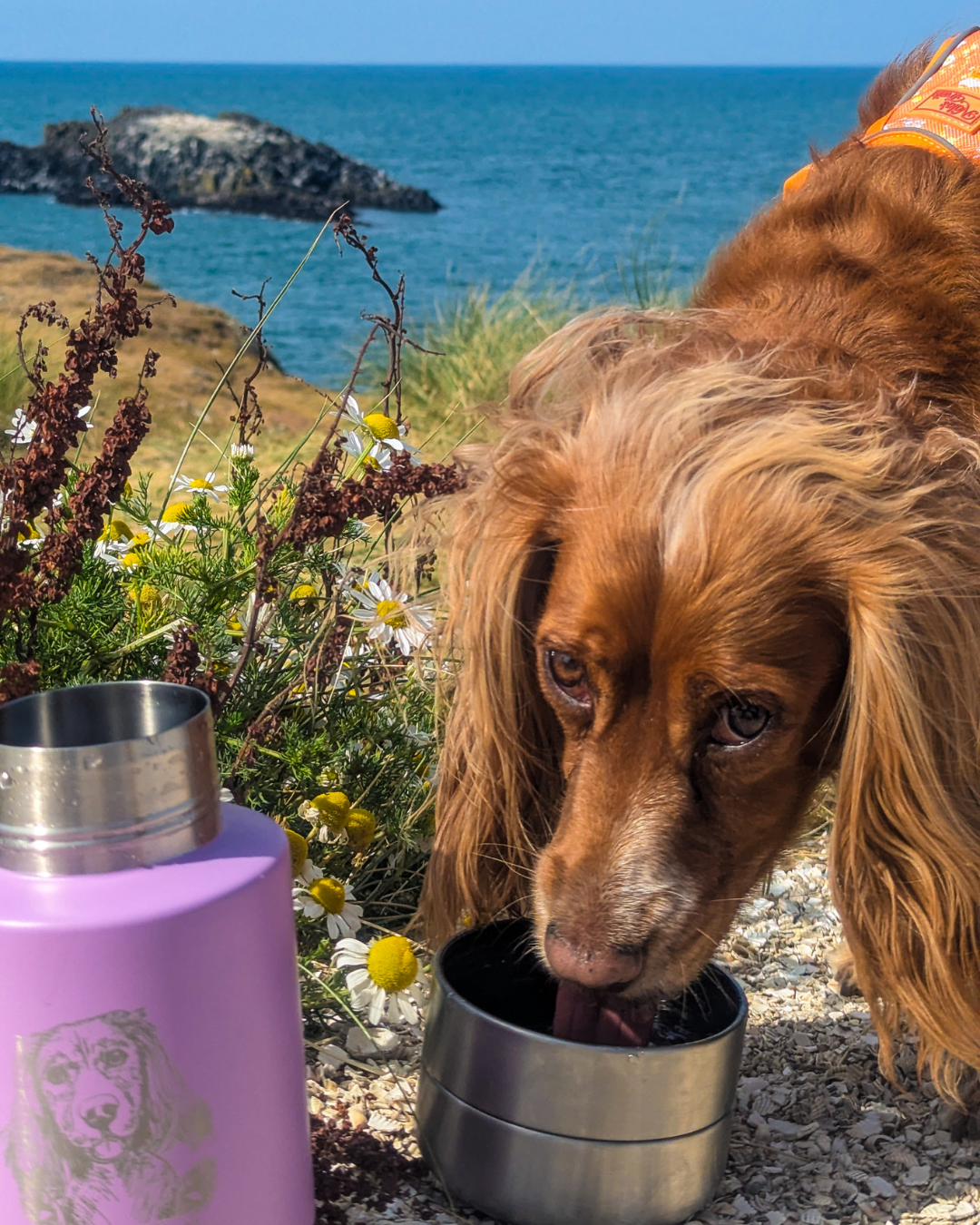 The Ultimate Travel Bottle