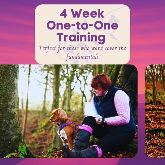 4  Week One-to-One Training