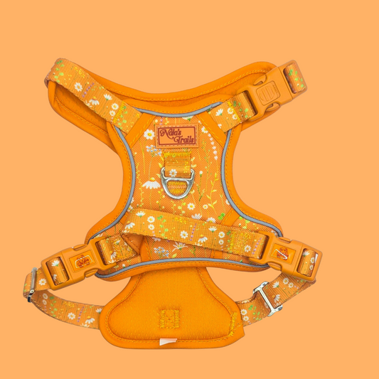 Sunshine Daisy Harness